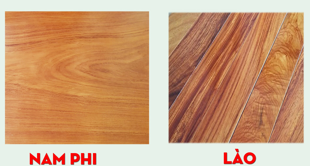 phân biệt gỗ gõ đỏ Lào và Nam Phi